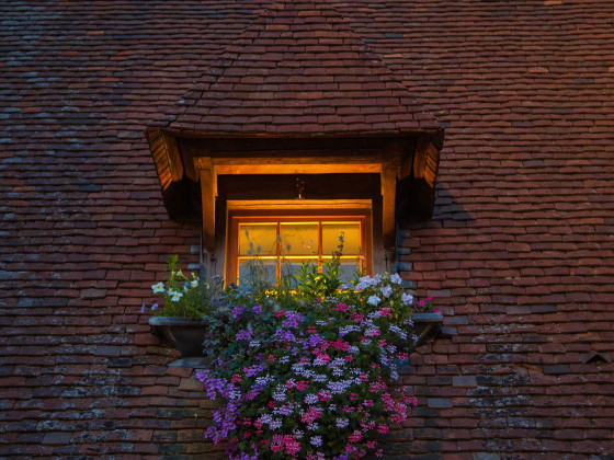 Blumenfenster in Beaune