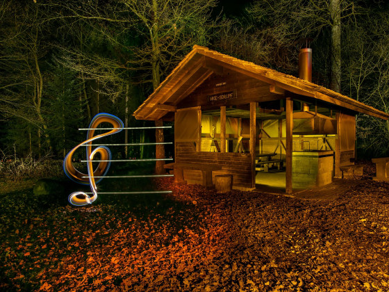 Music in the forest