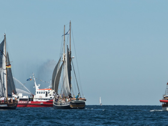 Hanse Sail 2015 II